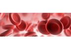 Model Clo-Sur P.A.D - Biopolymer-based Promotes Hemostasis