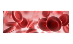 Model Clo-Sur P.A.D - Biopolymer-based Promotes Hemostasis