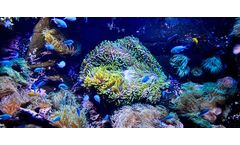 Sustainable technologies for ocean conservation