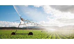 World Food Day 2023: Water is life, water is food