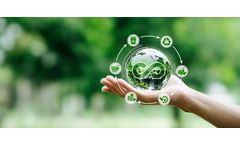 Circular Economy: Water and Energy