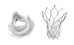 Novostia - Current Artificial Tissue Heart Valve