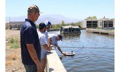 Aquasend Beacon® Alerts Crash in Dissolved Oxygen at Kent SeaTech