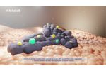 How Bria-IMT and Bria-OTS Destroy Cancer Cells - Video