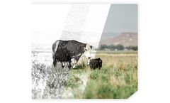Vytelle ADVANCE - High-Performance Reproductive Technology