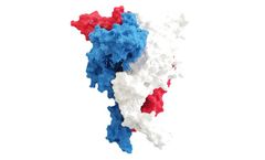 Model nfP2X7 - Immune Cell