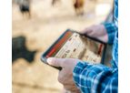 Performance - Version Cattle Krush - Real-Time Cattle Software