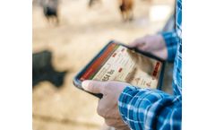 Performance - Version Cattle Krush - Real-Time Cattle Software