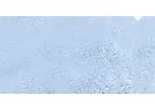 FuseChoice - Single Layer Amniotic Membrane