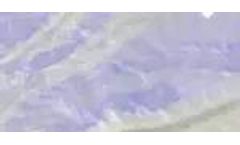 FuseChoice - Model Max - Umbilical Cord Membrane