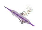 COBRA PzF - NanoCoated Coronary Stent (NCS)