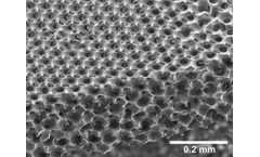 STAR - Biomaterial Scaffold
