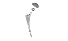 Tecomet - Femoral Stems