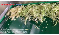Chopped Leafy vegetable Processing Line - Video