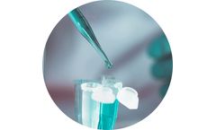 Immunethep - Anti-Bacterial Immunotherapy