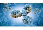 Model ALZ-201 - Monoclonal Antibody for the Toxic Aß Oligomers