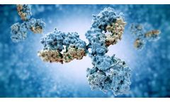 Model ALZ-201 - Monoclonal Antibody for the Toxic Aß Oligomers