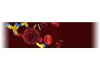 Chimigen - Flexible Platform Vaccine Technology