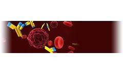 Chimigen - Flexible Platform Vaccine Technology