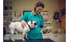Automatic tablet & capsule counter solutions for veterinary industry