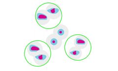hTERT ICC Assay Test - INOVIQ - Video