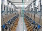 Delmer - Herringbone Milking System