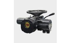 Flowinn - Basic Type Multi Turn Actuator