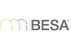 BESA - Version MRI 3.0 - Generate Individual Head Models (BEM / FEM)
