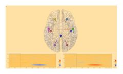 BESA - Version Connectivity 1.0 - Optimized, User-guided Workflows Tools