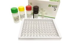 Biopanda Reagents - Model ELISA-COV-002 - COVID-19 Neutralising Antibody ELISA Kit