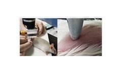 Baz Biomedical - Animal Testing