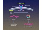 Sumitomo - Model TP-0184 - ALK2 and ALK5 Investigational  Inhibitor