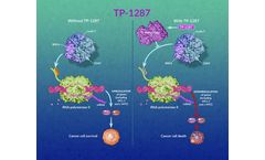 Sumitomo - Model TP-1287 - Investigational Oral CDK9 Inhibitor
