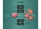 Sumitomo - Model TP-3654 - Investigational Oral PIM Inhibitor