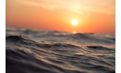 EEL - 24-Channel, Downhole Hydrophone Array