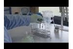 CorisBioConcept - COVID-19 Ag Respi-Strip - Use of Sampling Swabs - Video