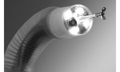 Endotics