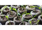 Promot MZM - Biological Starter Fertilizer with Beneficial Micronutrients