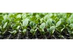 Aqua Power - Model 5-1-1 - Fish-Derived Nitrogen Fertilizer