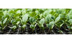 Aqua Power - Model 5-1-1 - Fish-Derived Nitrogen Fertilizer