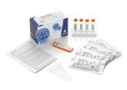 Abviris Prevo-Check - Model LFT-001 - Serological Detection of HPV16 Induced Cancer