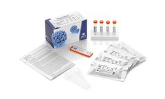 Abviris Prevo-Check - Model LFT-001 - Serological Detection of HPV16 Induced Cancer