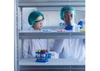 Research Development Services