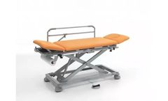 Haelvoet - Model 12154 - Multi-purpose Eleva Examination Table