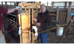 Pinkeye sample collection for cattle - Video