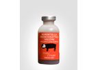 Maxi/Guard Zn7 - Model Nasal Vac - Porcine Respiratory Disease Protection