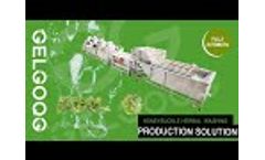 Industrial Honeysuckle Herbal Washing Machine - Video