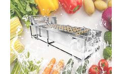 Gelgoog - Model GG-XQ - Automatic Pepper Chilli Washing Machine for Cleaning Dry Chilli Red Peppers