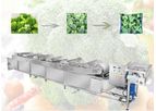 Gelgoog - Model GG-XQ - Commercial Broccoli Cauliflower Cleaning Washing Machine