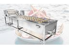 Gelgoog - Model GG-XQ - Shellfish Cleaning Washing Machine